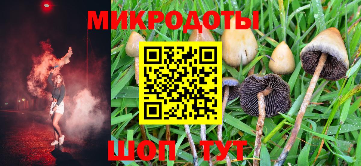 Псилоцибиновые грибы Psilocybe Джанкой
