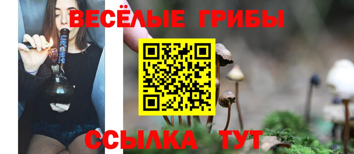 Псилоцибиновые грибы Psilocybine cubensis Джанкой